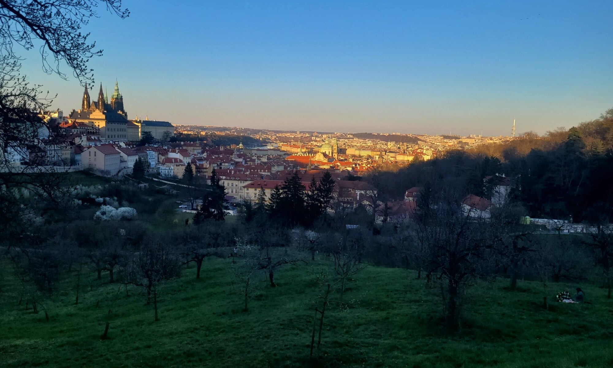 Praga Mater Urbium